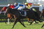 Music Magnate to miss the Spring Carnival Music Magnate to miss the Spring Carnival