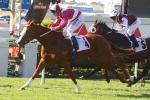 Real Love scratched from Australian Cup