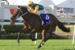 Ball Of Muscle Primed For Moir Stakes