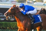 Mohave Takes Out Queensland Day Plate