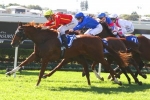 Stablemates to clash in Doomben 3yo Handicap