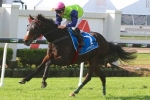 Werther Set For Hong Kong Derby
