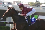 Whittington Wins the Lightning Handicap Whittington Wins the Lightning Handicap