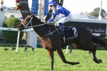 Winx Included In Theo Marks Stakes Field
