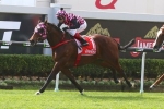 Excellantes Scores Back-to-Back Hinkler Handicap Wins Excellantes Scores Back-to-Back Hinkler Handicap Wins