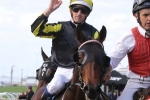 Kool Kompany Set For Australian Debut In Guvera Stakes Kool Kompany Set For Australian Debut In Guvera Stakes