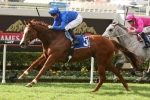 Cockram Stakes Barrier Draw The Issue For Hazard Cockram Stakes Barrier Draw The Issue For Hazard