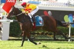 Jabali Claims Maiden Win in Queensland Guineas