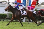 Magicool will be entered for Caulfield and Melbourne Cups