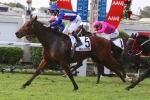 Magicool At Massive Caulfield Cup Odds