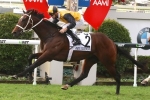 Press Statement the standout in Stan Fox Stakes field