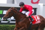 2015 Stradbroke Handicap Results: Srikandi Posts Dominant Win