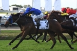 Capital Gain to be set for the Australian Derby