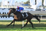 Spring Carnival plans in the pipeline for Chocante Spring Carnival plans in the pipeline for Chocante