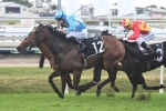 Tattersall’s Tiara Next for Dane Ripper Stakes Winner Prompt Response Tattersall’s Tiara Next for Dane Ripper Stakes Winner Prompt Response