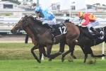 Tattersall’s Tiara Next for Dane Ripper Stakes Winner Prompt Response