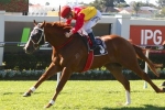 Weather to determine Sears’ Eye Liner Stakes runners Weather to determine Sears’ Eye Liner Stakes runners