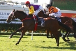 Le Val Racing for Magic Millions Cup Start Le Val Racing for Magic Millions Cup Start