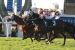 River Racer A Live Chance in Magic Millions 3YO Guineas River Racer A Live Chance in Magic Millions 3YO Guineas