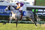2016 Ramornie Handicap Betting: Steel Zip Firming 2016 Ramornie Handicap Betting: Steel Zip Firming