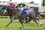 2015 Crown Oaks Tips: Honesta The Value 2015 Crown Oaks Tips: Honesta The Value