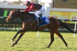Worthy Cause change Of Plans, Tramway Stakes next Worthy Cause change Of Plans, Tramway Stakes next