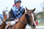 Zelady’s Night Out draws handy barrier in Calaway Gal Stakes Zelady’s Night Out draws handy barrier in Calaway Gal Stakes