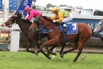 Aimee to head to Thousand Guineas after Doomben win Aimee to head to Thousand Guineas after Doomben win