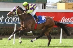 Teronado Ready for Grafton Cup