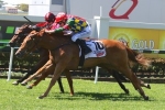 Magic Millions Classic 2016: Rare Occurrence Can Fire Fresh Magic Millions Classic 2016: Rare Occurrence Can Fire Fresh