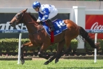 Hot Snippety to set the pace in Inglis Nursery Hot Snippety to set the pace in Inglis Nursery