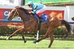 Guy Rates Stroak His Best Magic Millions Classic Chance