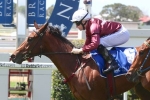 Madotti Ready to Win at Wyong