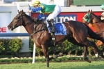 Schweida Happy With Cape Kidnappers Heading Into George Moore Stakes Schweida Happy With Cape Kidnappers Heading Into George Moore Stakes
