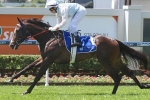 Favourites Fare Well At Magic Millions Classic Barrier Draw
