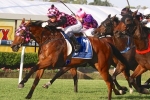 Hopfgarten To Contest Recognition Stakes Hopfgarten To Contest Recognition Stakes