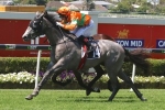 The Last Kiss Thriving Ahead Of Calaway Gal Stakes