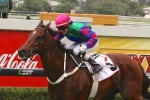 Didntcostalot Leads Gollan Trifecta in George Moore Stakes