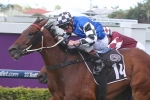 Just Now Quality An Option For Brook Road Following Maiden Black Type Win Just Now Quality An Option For Brook Road Following Maiden Black Type Win