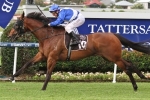Absalon Could Return To Group Level In Villiers Stakes