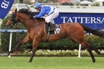 Absalon A Confirmed Villiers Stakes Starter Absalon A Confirmed Villiers Stakes Starter