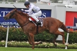 Celestial Dragon the big improver for 2014 Magic Millions 2yo Classic