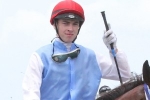 Queensland Guineas Next for Fred Best Classic Winner Niccanova Queensland Guineas Next for Fred Best Classic Winner Niccanova