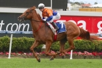 Whiskey Allround’s odds firm in betting for Lough Neagh Stakes Whiskey Allround’s odds firm in betting for Lough Neagh Stakes