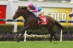 Sold For Song Primed for Sunshine Coast Cup