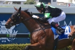 Bigger spaces of Eagle Farm to suit J J Atkins runner Candika Bigger spaces of Eagle Farm to suit J J Atkins runner Candika