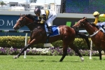 McLachlan Bullish About Dieters’ Magic Millions Classic Chances McLachlan Bullish About Dieters’ Magic Millions Classic Chances