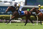 McLachlan Bullish About Dieters’ Magic Millions Classic Chances