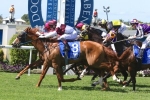 Eagle Way to give locals a chance in Queensland Derby