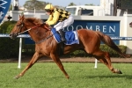 Stradbroke Handicap The Major Goal For Big Money Stradbroke Handicap The Major Goal For Big Money